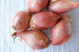 Maybe you would like to learn more about one of these? Cipolla Allium Cepa Allium Cepa Orto Cipolla Allium Cepa Orto