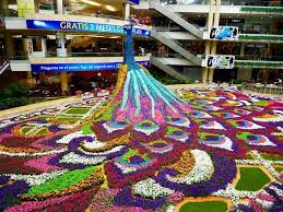 Colombie Medellin Fete Des Fleurs 2017 Fiesta De Los Flores Festival Of Flowers Orchidees Orquideas Medellin Fleurs Petunias