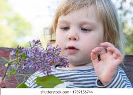 671+ Thousand Focused Branches Royalty-Free Images, Stock Photos & Pictures 