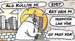 Pin By Cryptwalkers On Turkey In 2020 Comics Fun Peanuts Comics