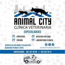 Veterinaria Animal City