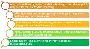 A situation analysis describes an organizations's competitive position, operating and financial condition and general state of internal and. Situation Analysis Climate Smart Agriculture Guide