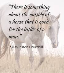 Cowboyn' For The Son