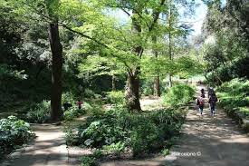Was in botanischer garten barcelona zu tun, finden sie mehr als ✅ zehn attraktionen und billige dinge in botanischer garten barcelona in unserer website travelguide.city zu tun. Historische Botanische Garten Barcelona Irbarcelona