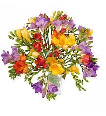 As Well As Being A Symbol Of Sweetness Friendship And Trust Freesias Make A Perfect Ch Purple Flower Bouquet Congratulations Flowers Same Day Flower Delivery