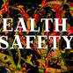 Health and Safety (for Center, School-age, & LE Dir.)