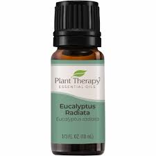 Eucalyptus oil, one such essential oil, is said to have antibacterial and antiseptic action. Eucalyptus Radiata Essential Oil Plant Therapy