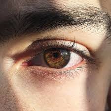 Daryas Saved Photos 1 275 Photos Brown Eyes Aesthetic Pretty Brown Eyes Aesthetic Eyes