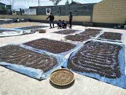 Terima kasih sudah mampir di mr_planet channel jangan lupa. Gunung Rowo No Sensor Gunung Rowo Bergoyang Viral Gunung Rowo Waduk Pati No Film Jadul Hot No Sensor Adegan Asli Bikin Tegang Punyamu