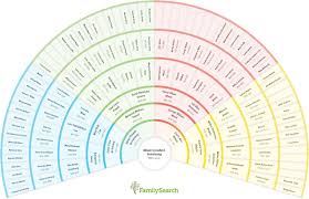 have you seen this cool new genealogy charting tool