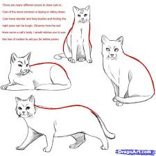How Do You Draw A Warrior Cat Draw A Realistic Cat Draw Real Cat Step By Step Realistic Drawing And Warrior Cat Tiere Malen Realistische Zeichnungen