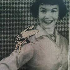 GlitterFly Costume & Apparel