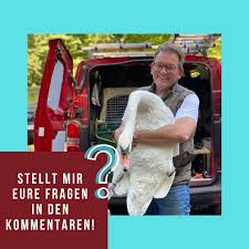 Dreesen stehen noch keine sendetermine in den nächsten wochen fest. Dr Dreesen Tierarzt Aus Leidenschaft Startseite Facebook