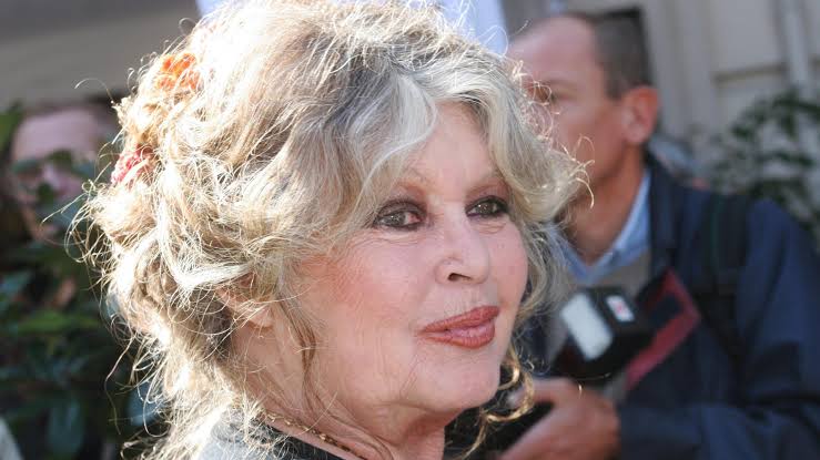 Brigitte Bardot: French cinema icon dies aged 91 - BBC News