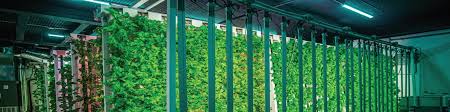 Zipgrow Inc Linkedin