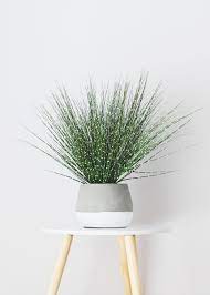 Zebra Onion Grass In Pot Fake Potted House Plants Afloral Com Plants Artificial Potted Plants Potted Plants
