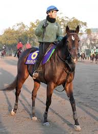 4k00:09female hands of business woman. ã‚°ãƒ©ãƒ³ã‚¢ãƒ¬ã‚°ãƒªã‚¢ãŒå¤§é˜ªæ¯ã«å‚æˆ¦ ã‚³ãƒ³ãƒˆãƒ¬ã‚¤ãƒ«ã¨åˆå¯¾æ±ºã¸ ç«¶é¦¬ ãƒ¬ãƒ¼ã‚¹ ãƒ‡ã‚¤ãƒªãƒ¼ã‚¹ãƒãƒ¼ãƒ„ Online