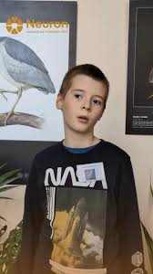 Image result for pokoutnik st job 