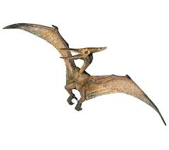 We did not find results for: Flying Dinosaur Bird Names Dinosaur Mania
