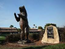 Image result