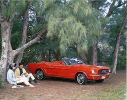 Image result for Rangoon Red 1964 Mustang