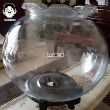 Yang disebutkan semuanya di atas adalah aquarium bulat yang harganya murah, selain itu disela. Akuarium Bulat Kaca Ukuran Kecil Diameter 35 Cm Tempat Peliharaan Ikan Hias Bekas Bagus Mulus Shopee Indonesia