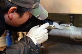 Whether he/she is registered as a builder. What Does A Building And Pest Inspection Look For In Australia Youramazingplaces Com