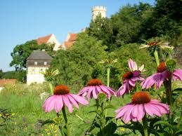 Leobendorf burggarten and a great selection of related books, art and collectibles available now at abebooks.com. Sachsens Museen Entdecken Museum Burg Gnandstein