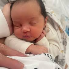 Rob Webber (@mrrobwebber) • Instagram photos and videos