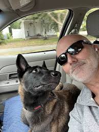 Job opportunities with animals in Aiken, SC