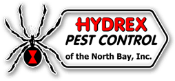 For a letter, use the address 813 wyld st, north bay, ontario p1b 2a5, north bay, ontario p1b 2a5. Hydrex Pest Control Of The North Bay Termite And Pest Control