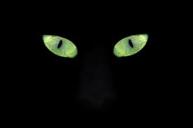 Cot contact lenses exam review manual. Buying And Wearing Glow In The Dark Contact Lenses Lovetoknow