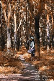 Foto Praweding Kebun Karet Prewedding Of Winny Afrishal At Kebun Raya Cibodas Warna Project Bridestory Cek Price List Dari Harga Prewedding Surabaya Saephotoworks Di Link Ini Air Jamaica Cheapest Fare 56