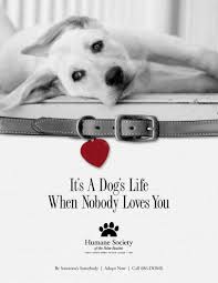 This Is An Example Of Visual Persuasion In Advertising Through This Ad The Humane Society Is Trying To Persuade Peo Humane Society Dog Adoption Homeless Dogs