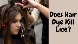 Are brown eggs really healthier or is that just a myth? Does Hair Dye Kill Lice Or Their Eggs Complete Guide