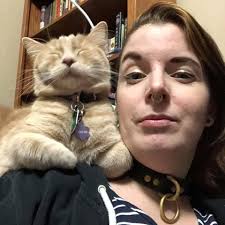 Lost cat in Eagan, last seen south of high school