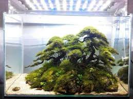 45 Nano Planted Tank Design Inspirations To Displayed At The Office Rooms And Living Room That Will Eliminate Planted Aquarium Indoor Water Garden Aquascape