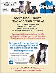 6,800 likes · 243 talking about this · 45 just wanted to post an update on our holiday donations. Dog Adoption Manchester