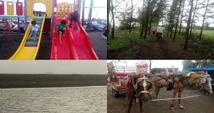 Vasai Beach Suruchi L How To Reach Vasai Beach From Vasai Station L Vasai Beach Images Dji mavic air / mi 8 pro editing : reach vasai beach from vasai station
