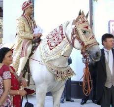 One Of Our Decorated White Horses For South Asian Weddings Horse Wedding Indian Wedding Trendy Wedding