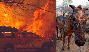 Los incendios forestales no se detienen en la provincia de córdoba. Uzivatel Diario Hoy Na Twitteru Incendios Cordoba Https T Co Jlz2okr4c1 Sin Tregua Cordoba Sufre El Incendio Mas Grande De Los Ultimos 12 Anos Dos Nuevos Focos Igneos Se Iniciaron Ayer En