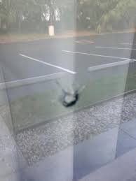 Rest, relax and get ready for tomorrow's adventures with a great night's sleep tonight. Bullet Hole In Room Window Picture Of Red Roof Inn Tampa Fairgrounds Casino Tripadvisor
