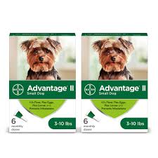 Ordinary thursdays will be ruined forever after today, when uber delivers if you're worried about the puppies welfare, don't. Advantage Ii Once A Month Topical Flea Treatment For Dogs Puppies 3 To 10 Lbs 2 Packs Of 6 10 Lbs 2 Packs Of 6 Delivery Cornershop By Uber