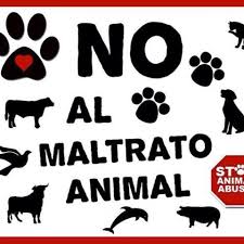 Resultado de imagen para maltrato animal