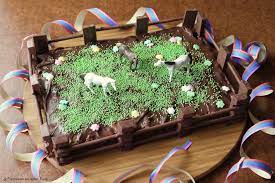 Tipps für gestaltung, programm und verpflegung. Pferdemottoparty Schokokuchen Experimente Aus Meiner Kuche