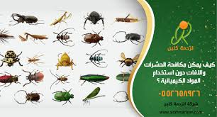 كيف يمكن مكافحة الحشرات والافات دون استخدام المواد الكيميائيه و بدون مبيدات Spoon Rest Tableware Plates