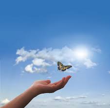 Pozitívna psychológia pre pozitívny život