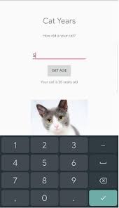 My mom's cat passed away, last year at 25. Cat Years For Android Apk Download