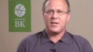 More Than Money by Mark Albion (BK Life Book)