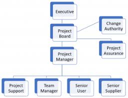 The 10 Primary Project Roles